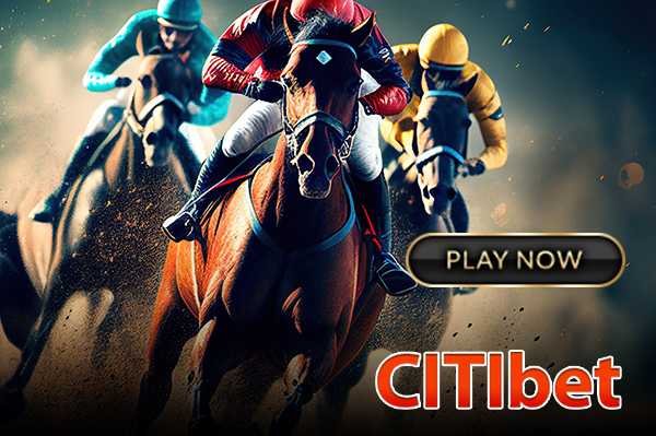 HORSE CITIBET